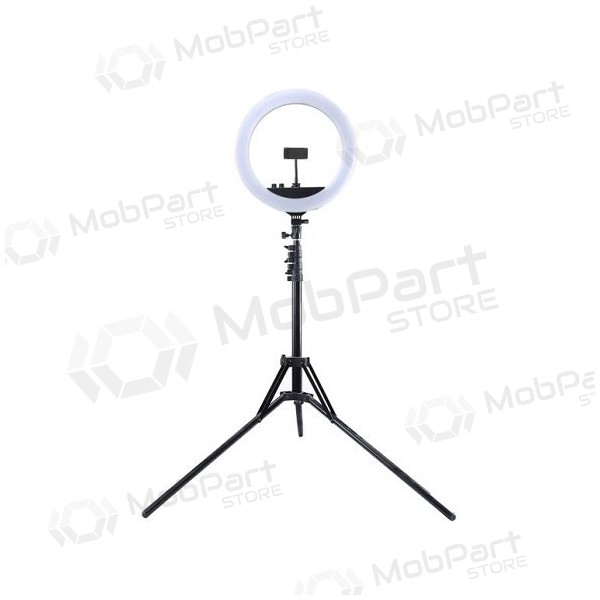 LED žiedinė λάμπα 34.5cm, su trikoju stovu iki 1.85m, veidrodžiu και telefono laikikliu, USB LED žiedinė λάμπα 34.5cm, su trikoju stovu iki 1.85m, veidrodžiu και telefono laikikliu, USB